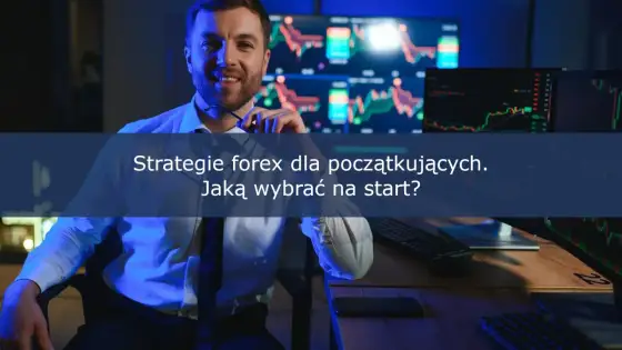 Forex dla początkujących - Jak zacząć i uniknąć strat?